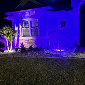 Enchanted LCP Lighting